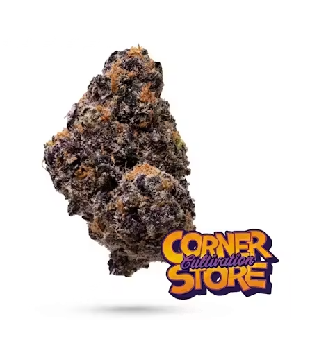 Corner Store Key Lime Pie Bulk Flower